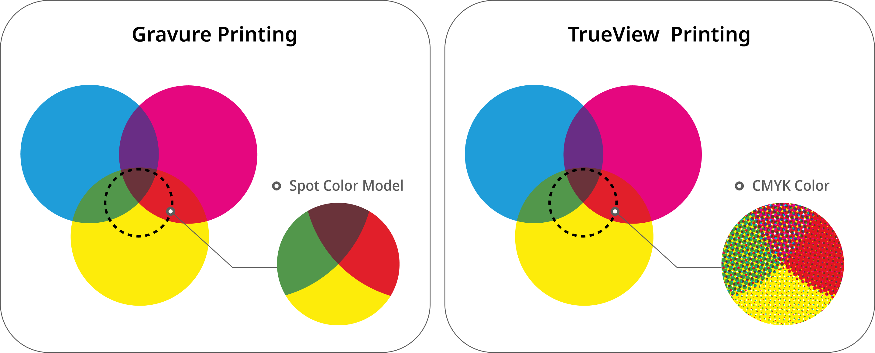 Spot Color vs. CMYK Color